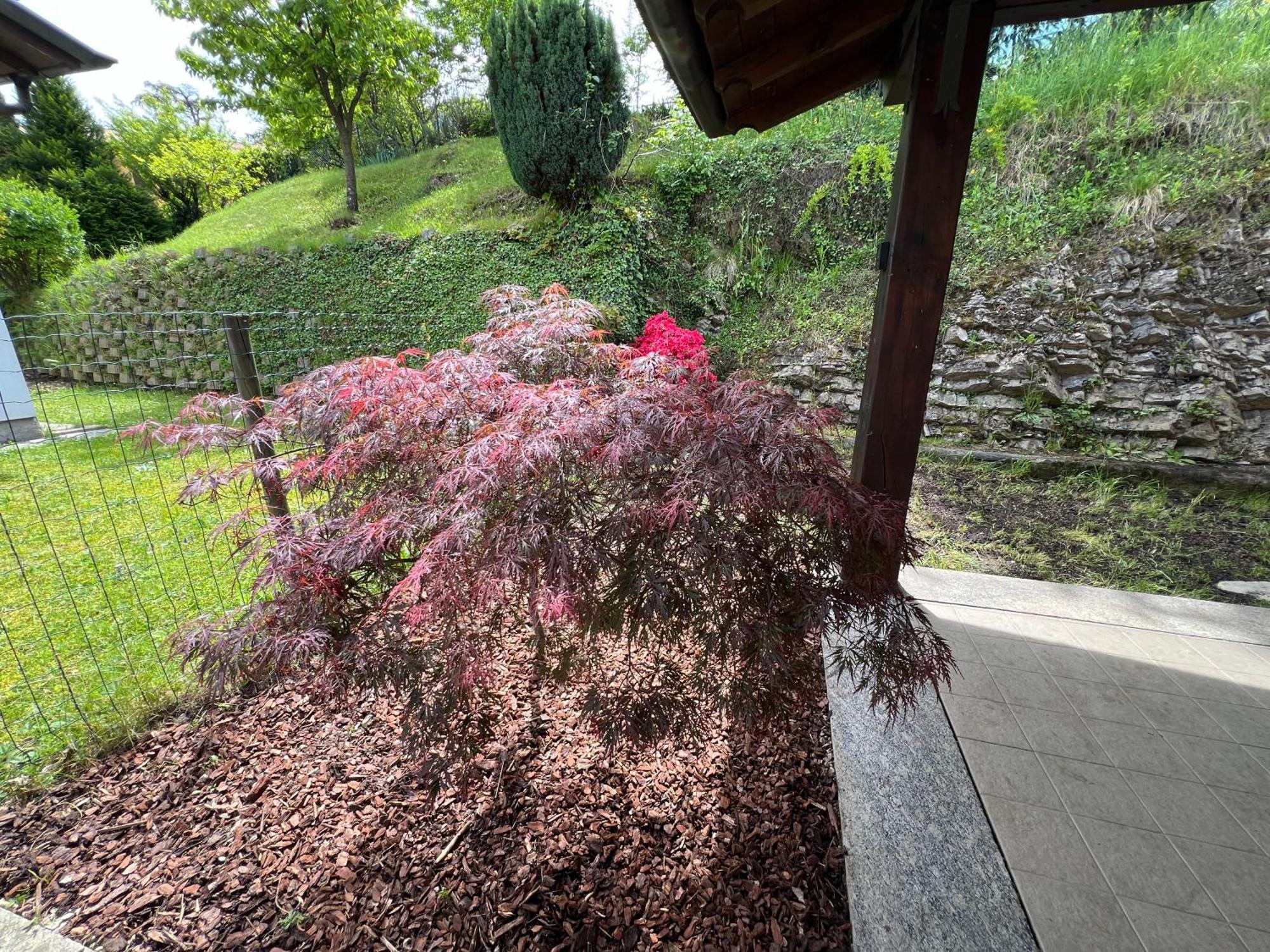 Villa L'Acero Rosso - Giardino Privato E Box Auto Menaggio Esterno foto